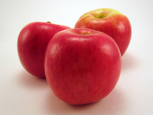 Apples- Honeycrisp — Sun Orchard Apples