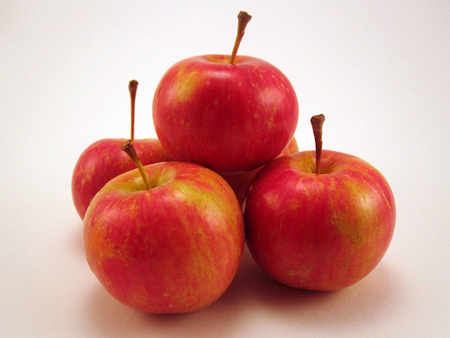 Chestnut Crabapple apples