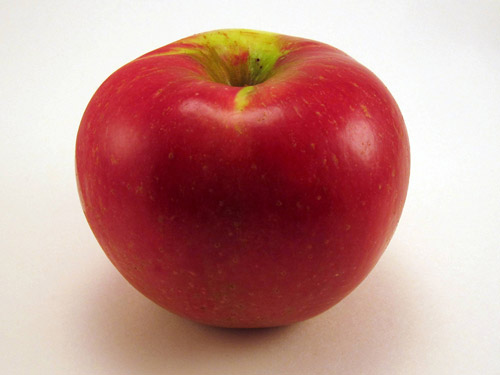 Prairie Spy apples