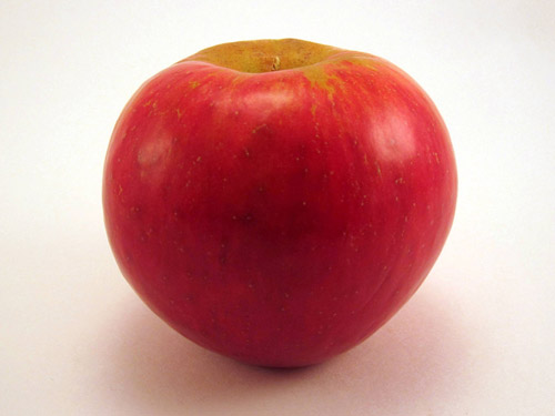 Sweet Sixteen apples